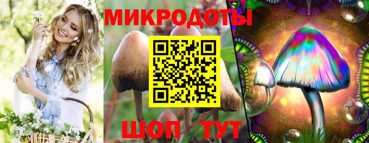 купить   Псилоцибиновые грибы мицелий  Вход с VPN  Феодосия  Галлюциногенные грибы мицелий 